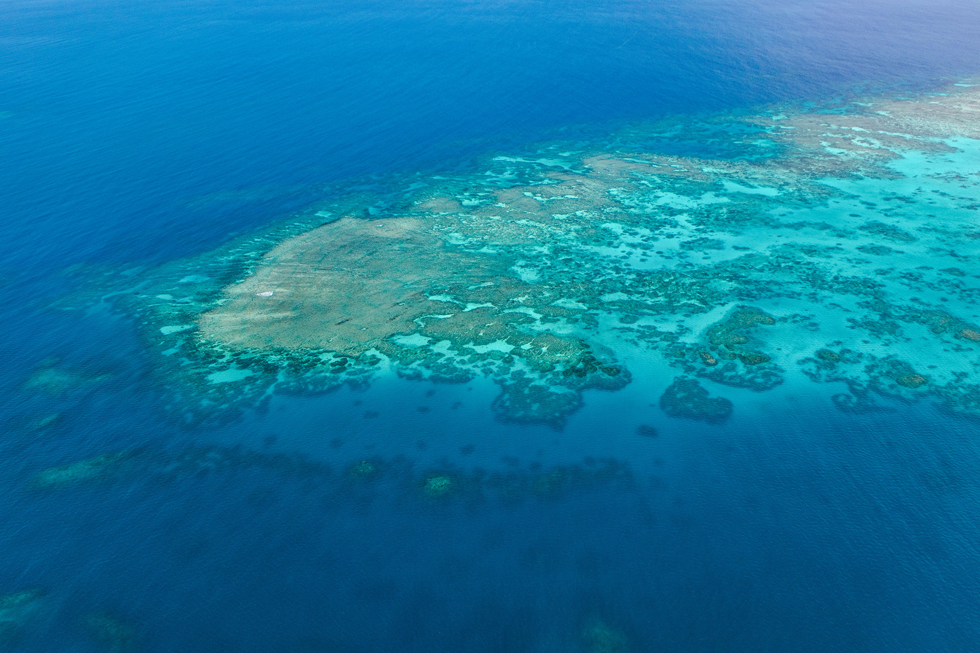 About The Great Barrier Reef | Reef Information | Divers Den