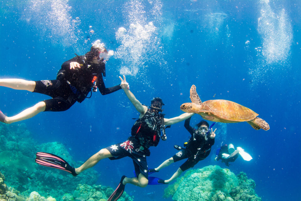 Great Barrier Reef Cruises Divers Den